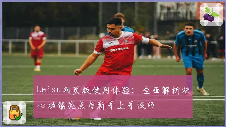 Leisu网页版使用体验：全面解析核心功能亮点与新手上手技巧