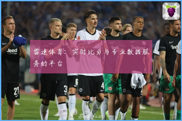 雷速体育：实时比分与专业数据服务的平台