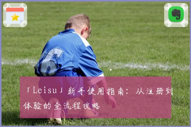 「Leisu」新手使用指南：从注册到体验的全流程攻略
